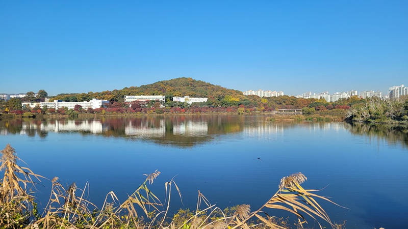 철조망에 갇힌 여기산! 이제 시민의 품으로
