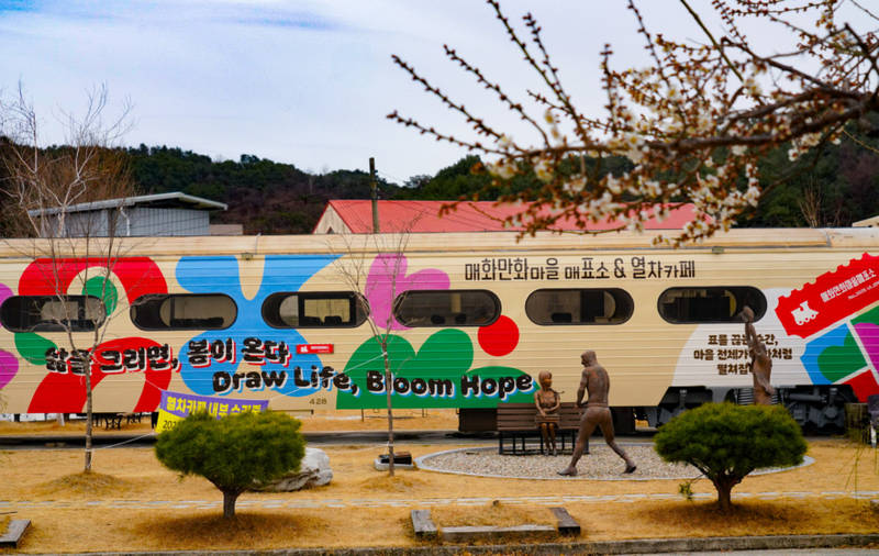 봄을 알리는 하얀 숨결, 울진 ‘매화’ 꽃망울 활짝