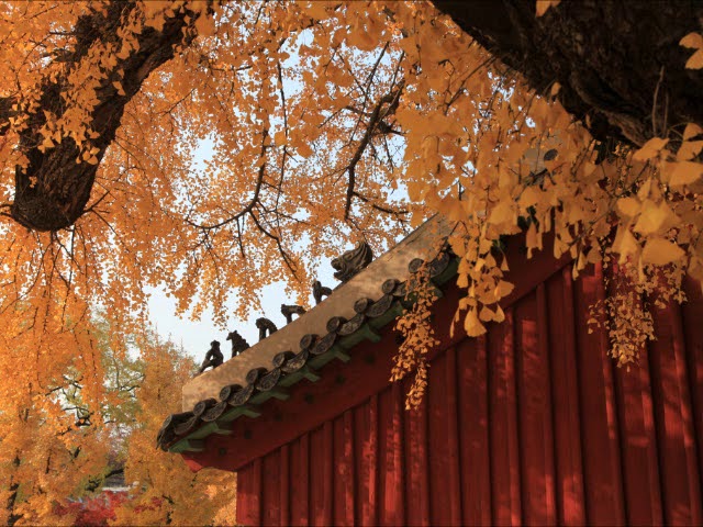 성균관 사계